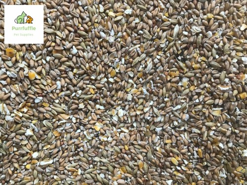 Dove food mix - mix, 20kg