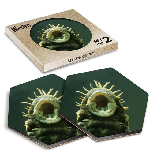 Hexagon mdf coaster - hexagon,