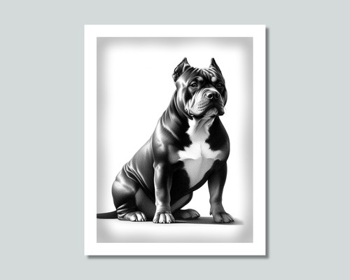American bully dog photo - american,