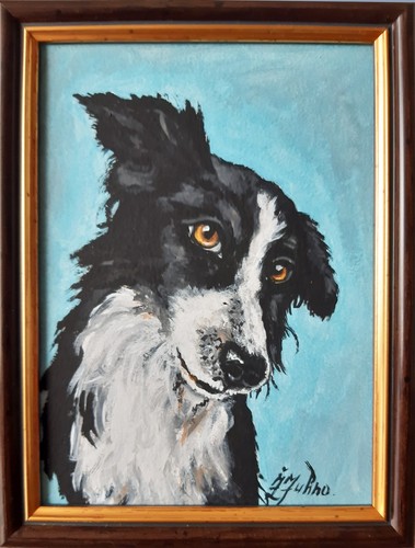 Border collie original - border,