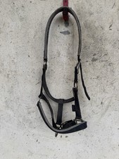 Full Horse Head Collar, Shires