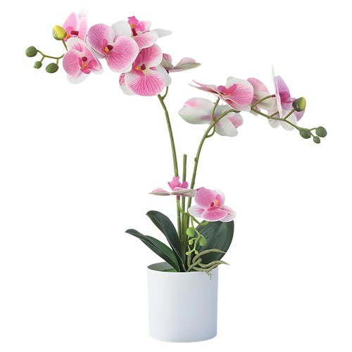 Jonuin artificial orchid - jonuin,