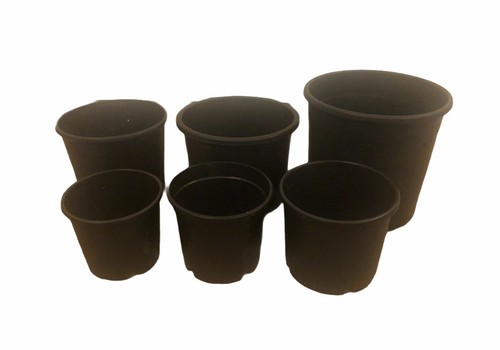 Black planters nursery flower - black,