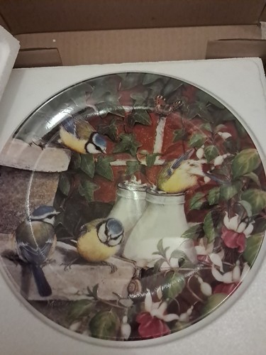 Coalport plate garden - plate,