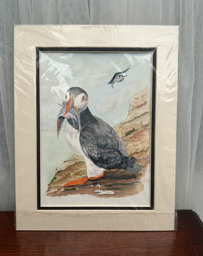 Puffin bird watercolour - puffin,