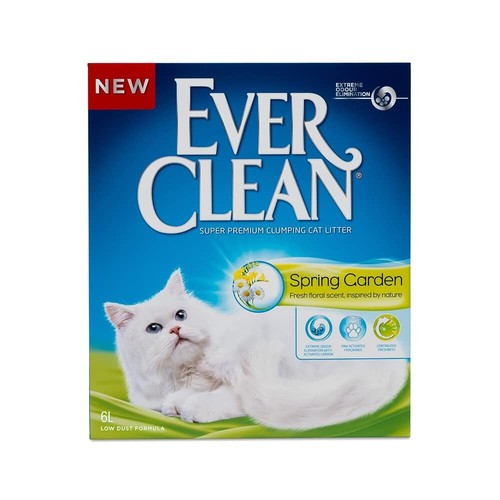 Ever clean spring - spring, garden