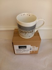 New with Box Next Aquarius Mug