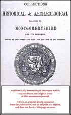 LLANFAIR CAEREINION IN THE