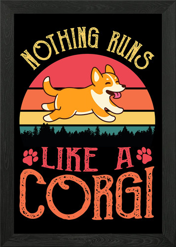 Corgi dog short legs - dog,