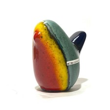 Multicoloured Rainbow Bird by