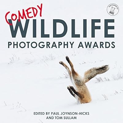 Comedy wildlife photography - comedy,