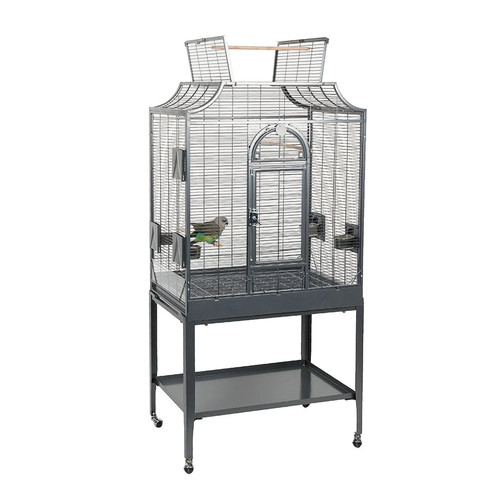 Large open top parrot - open,