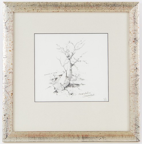 David shepherd strange plant - 'strange,