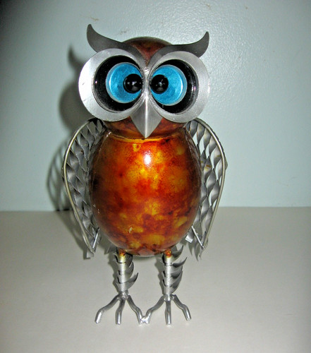 Metal owl colorful what hoot - colorful,