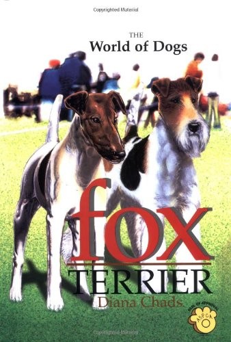 World dogs fox - world,