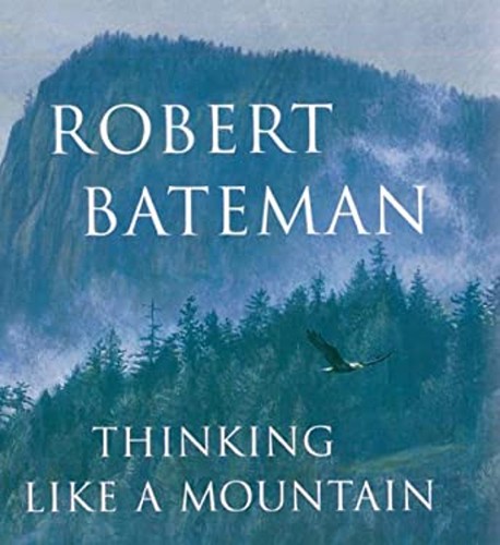 Thinking like mountain - thinking,