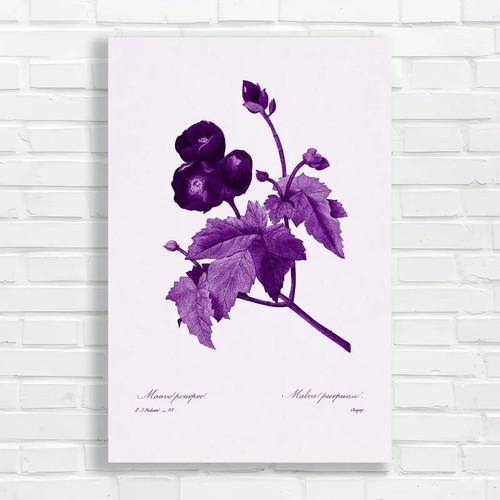 Vintage botanical peony - vintage,