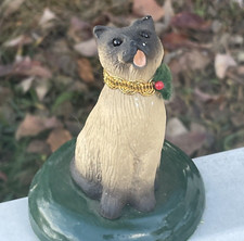 Retired Siamese Seal Point