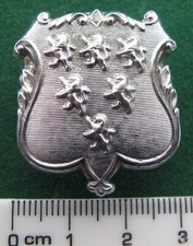 Warrington Borough Police collar badge