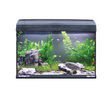 Aqua one ecostyle 70l - 61,