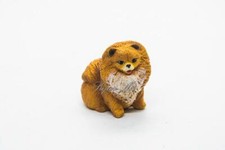 Pomeranian puppy miniature - pomeranian,