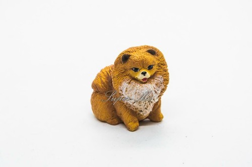 Pomeranian puppy miniature - pomeranian,