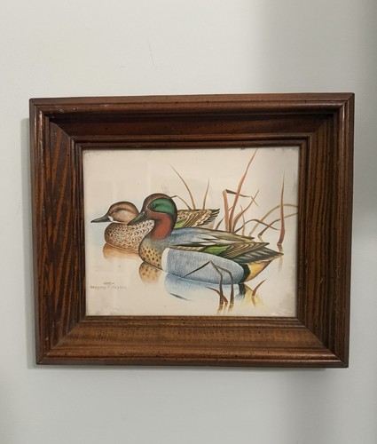 Mallard ducks framed print - ducks,