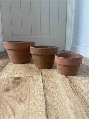 Vintage terracotta plant - terracotta,