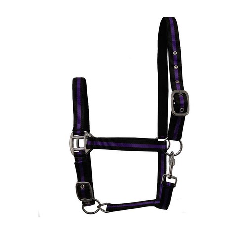 Equestrian padded head - equestrian,