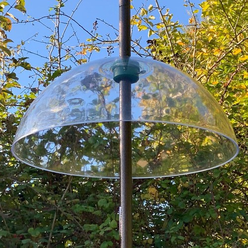 Squirrel proof baffle - squirrel,