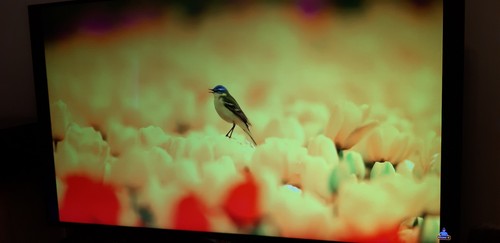 Ultra smart led - hd,