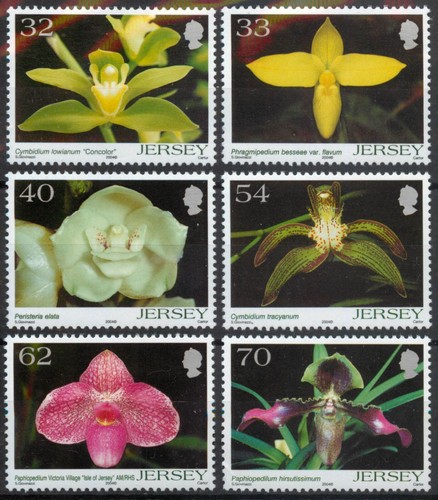 Jersey 2004 orchids 5th - jersey,
