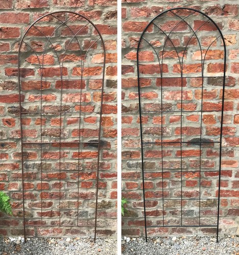 Climbing plant wall metal - plant,