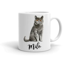 Personalised British Shorthair