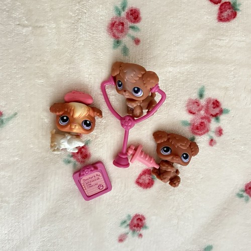 Littlest pet shop - pet, poodle
