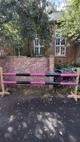 Equestrian horse jump pole - horse,