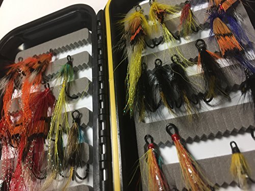 Fly fishing salmon starter - fly,