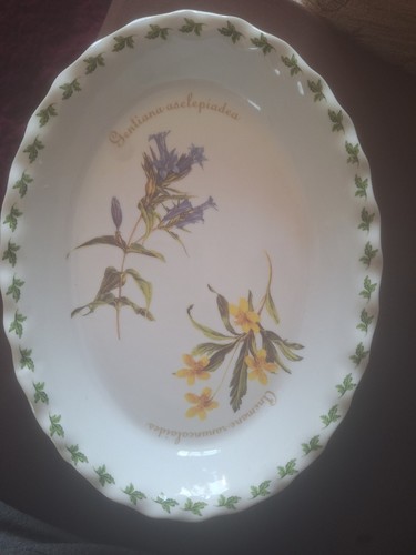 Regal bone china serving dish - serving,