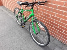 raleigh max mountain bike