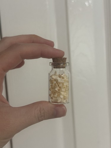 Rabbit tail bone vial - rabbit,