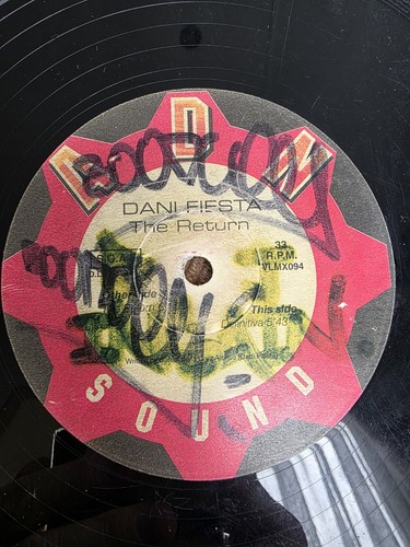 Dani fiesta the - fiesta, –