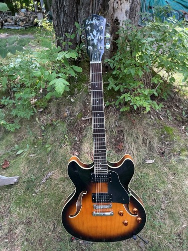 Washburn hb30tsk electric - washburn,