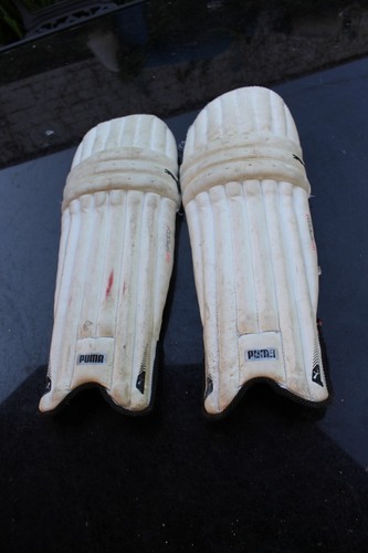Puma youth cricket pads - cricket, (read