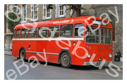Bus photograph hants dorset - photograph,