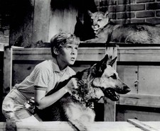 1964 Press Photo Actor Jay