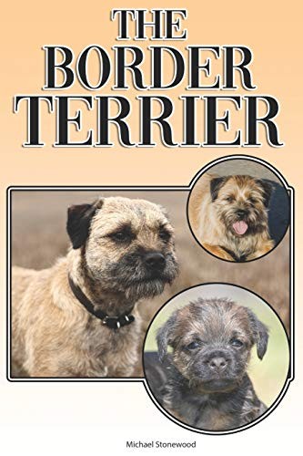 The border terrier - the, terrier: