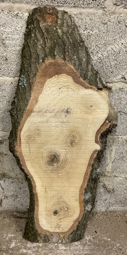 Live edge ash timber wood - ash,