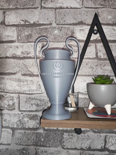 Champions league trophy - league,