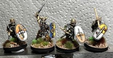 25mm 28mm 4 well painted Celt Gaul Gallic Hearthguard Saga Wargames Foundry