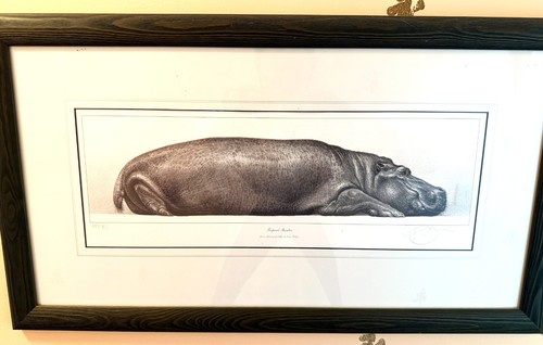 Gary hodges limited edition - limited,